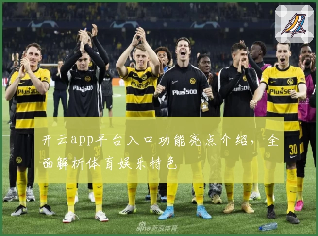 开云app平台入口功能亮点介绍，全面解析体育娱乐特色
