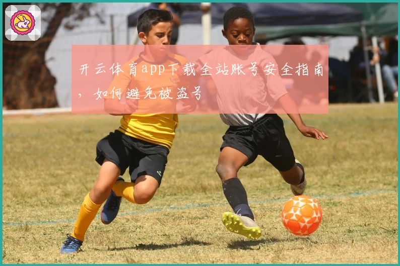 开云体育app下载全站账号安全指南，如何避免被盗号