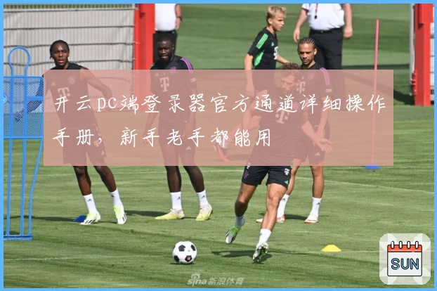 开云pc端登录器官方通道详细操作手册，新手老手都能用